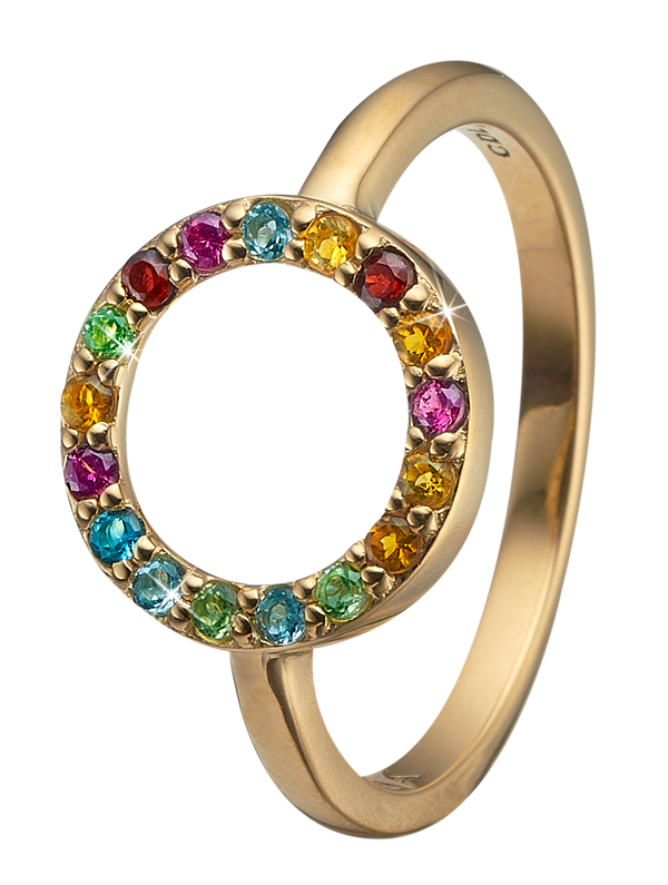 Christina Collect forgyldt sterling sølv Word Goals Smuk ring med cirkel besat med 17 forskellige ægte sten, ring størrelser fra 49-61